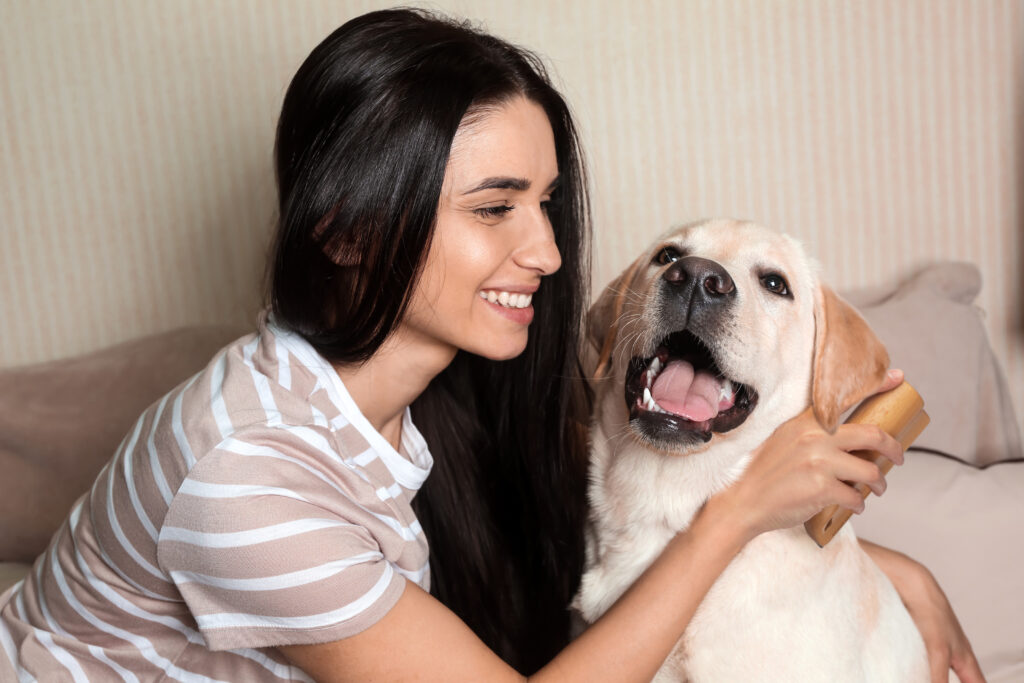 Portrait of young woman with her cute labrador dog at home