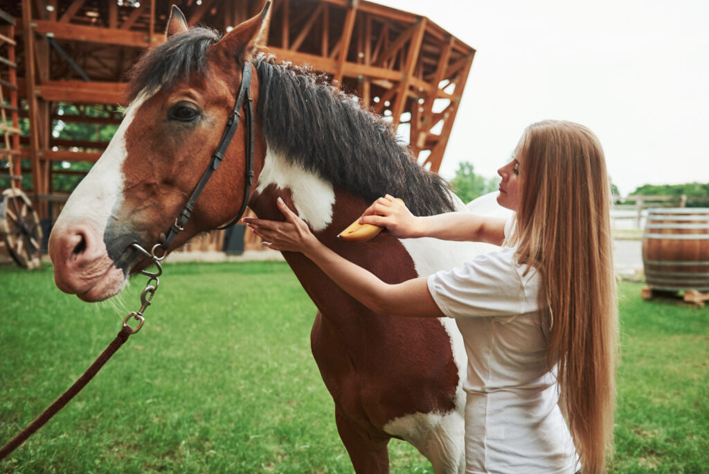 Using blue colored wooden brush. Happy woman with her horse on the ranch at daytime.