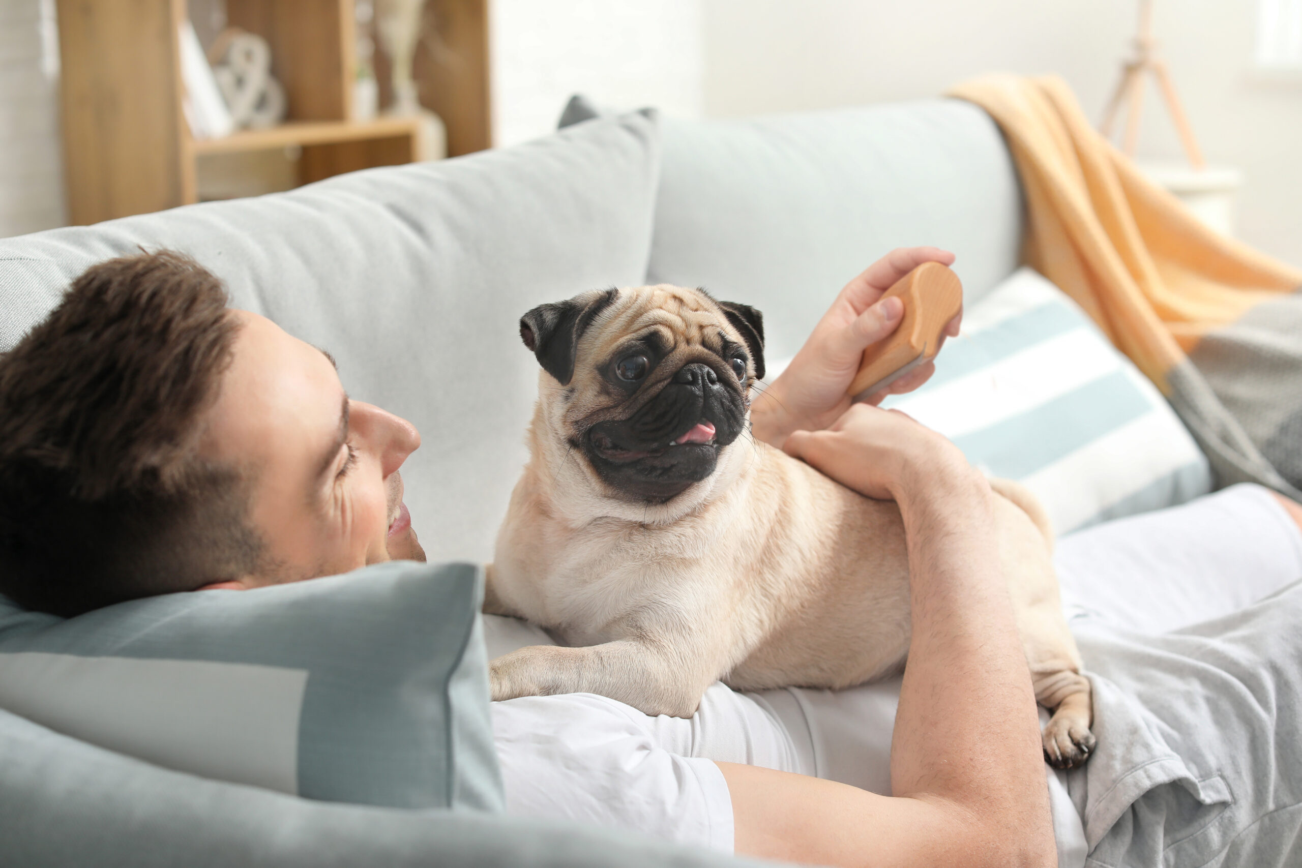 Handsome man with cute pug dog at home