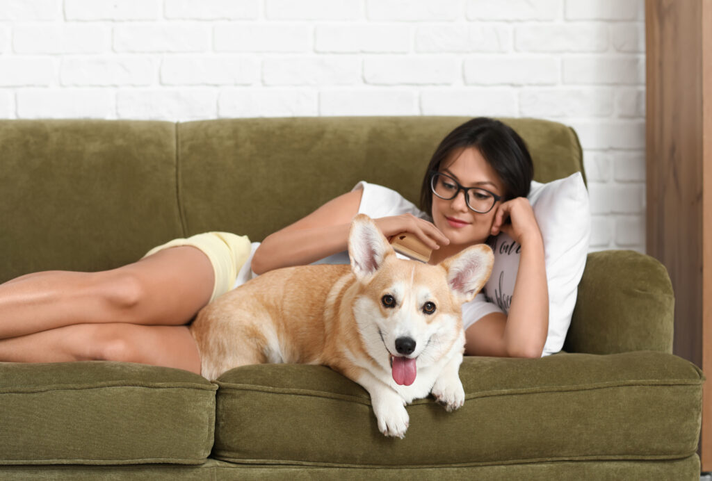 Woman with cute corgi dog at home