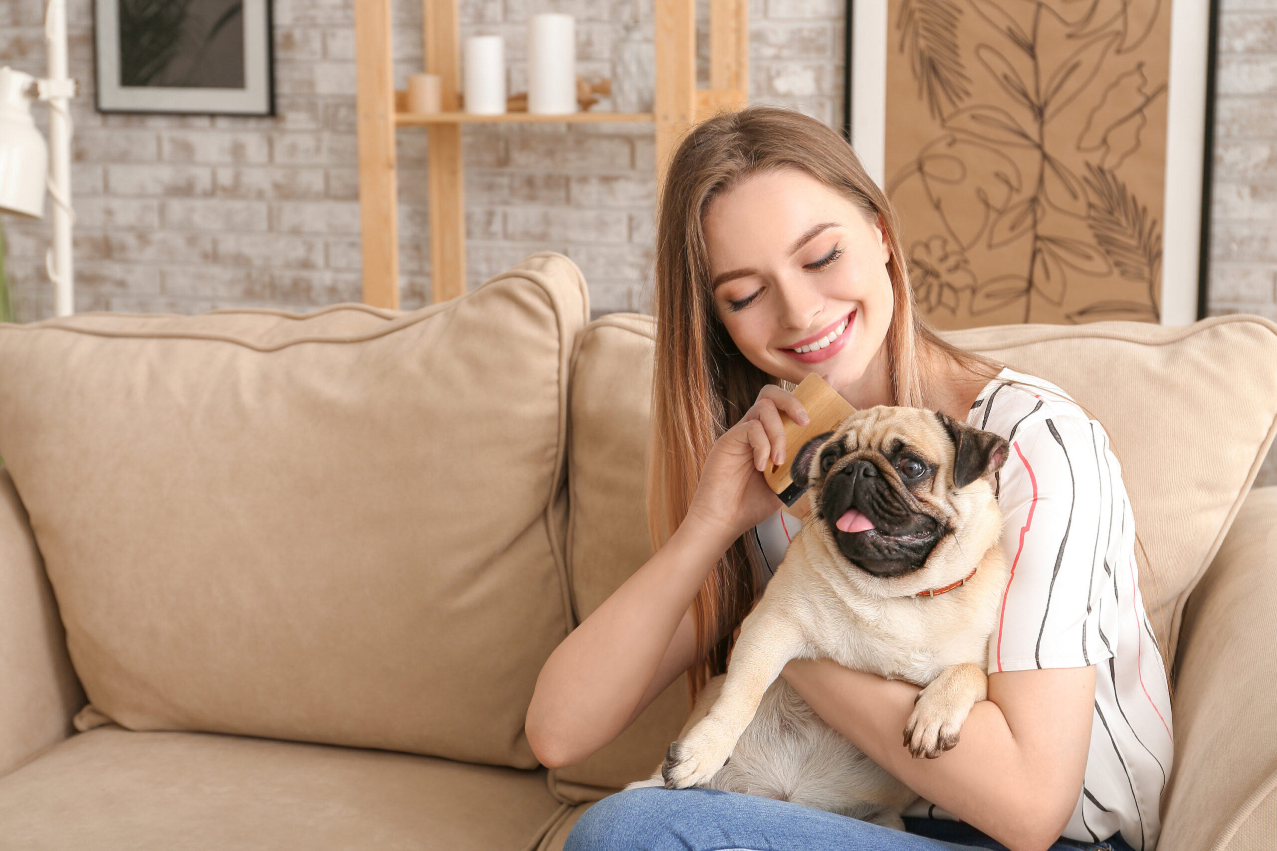 Beautiful young woman with cute pug dog sitting on sofa at home