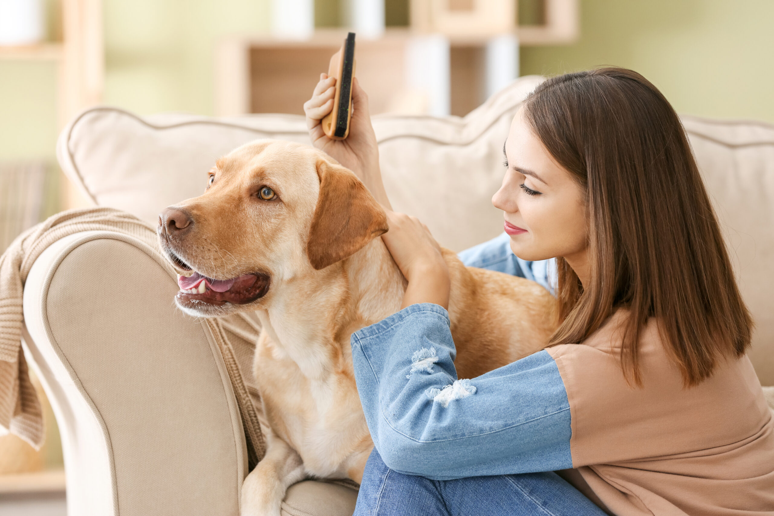 Beautiful young woman with cute dog at home